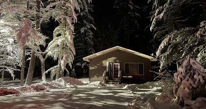 Escape to your own cabin with a private dock on the Petenwell Flowage.