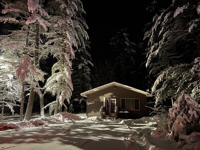 Escape to your own cabin with a private dock on the Petenwell Flowage.