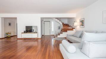 Télévision, cheminée