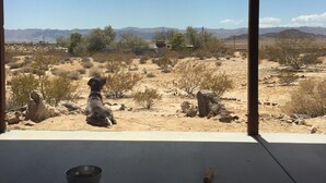 A room with a view of a desert landscape, a dog sitting by a window, and a bowl on the table. - Huge Views in North Joshua Tree w/ Outdoor Bathtub & Shower (Joshua Tree)