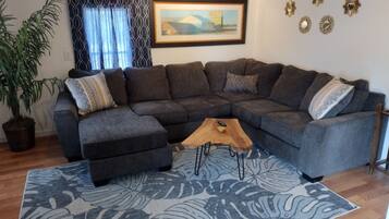 TV connectée, cheminée, lecteur de DVD, livres