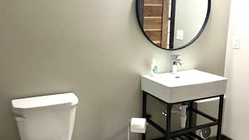 Combined shower/tub, hair dryer, towels, soap