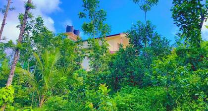 View point homestay Coorg !!