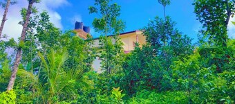 View point homestay Coorg !!