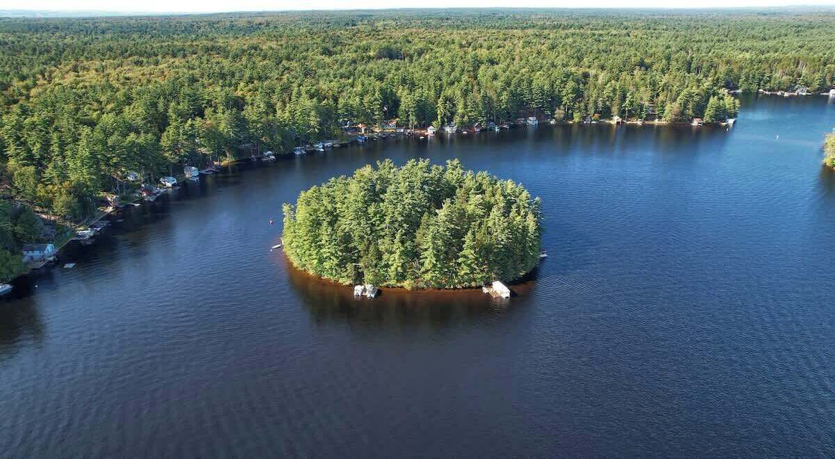 An aerial view of a lake surrounded by dense forest, with a small island in the center.