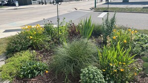 Unclassified image, 3 of 38, button - Downtown Lakeside in Muskegon-by local businesses,10 min to beach, Htub seasonal (Muskegon)