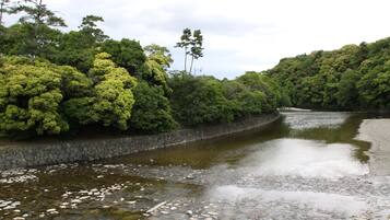 Een rivier met een stenen muur en dichte groene bomen aan beide oevers.