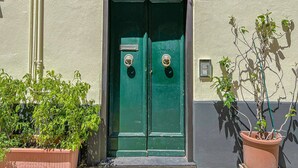 A green double door with a small window above it, a potted plant to the left, and another to the right.