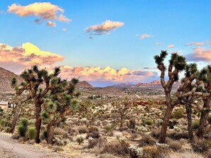 A desert landscape with Joshua trees and a distant mountain range.