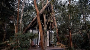 A treehouse with a wooden deck and a small seating area, surrounded by dense forest.
