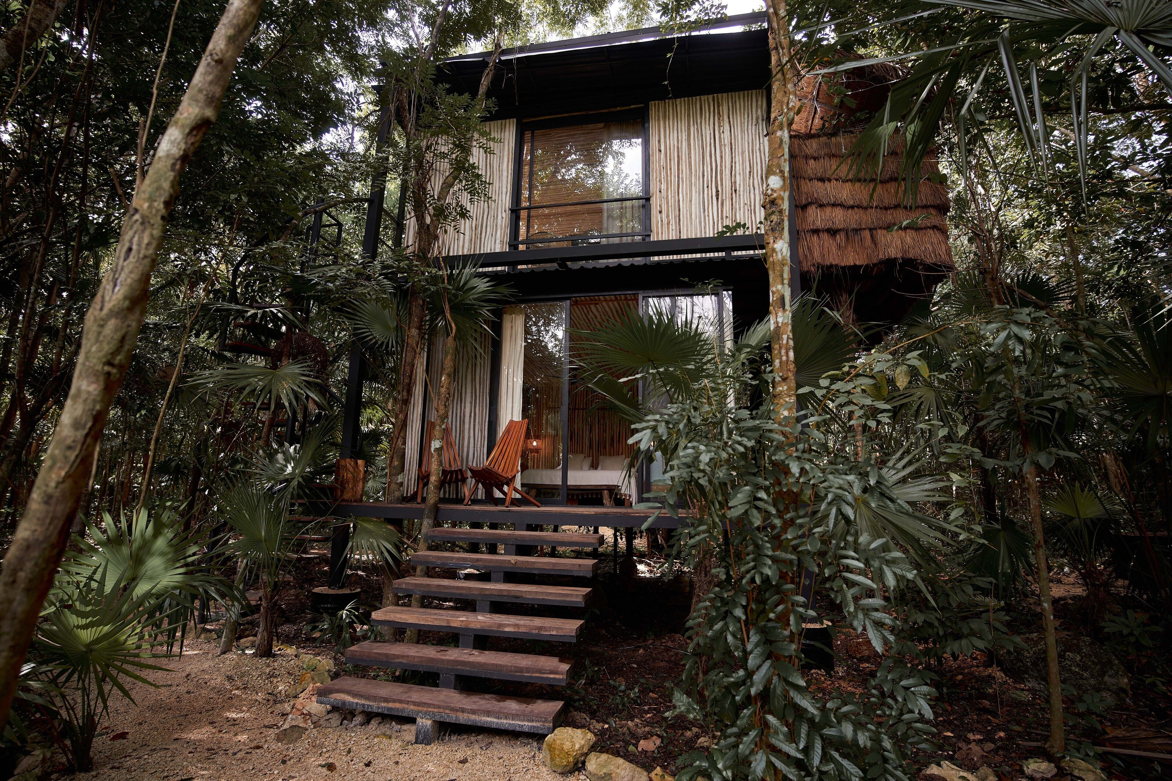 Jungle Suite | Decoración personalizada, muebles diferentes y ropa de cama 