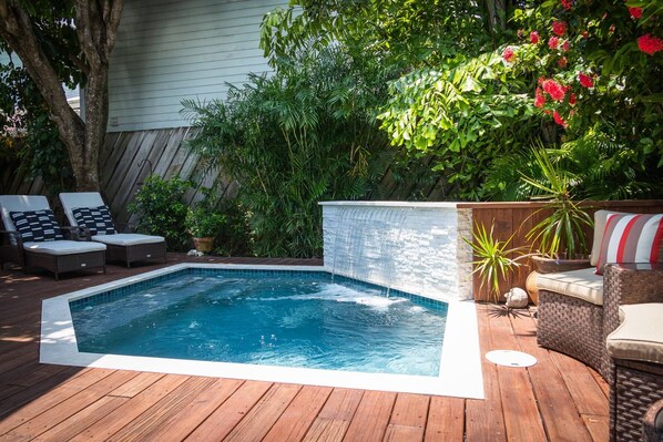 Immagine non classificata, 1 di 50, pulsante