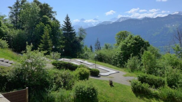A landscaped area with a paved path, surrounded by dense greenery and trees, leading to a mountain view. - Enzian 720 by Interhome (Beatenberg)