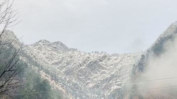 Miscellaneous