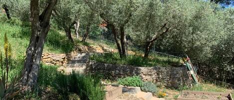 Overnattingsstedets uteområder