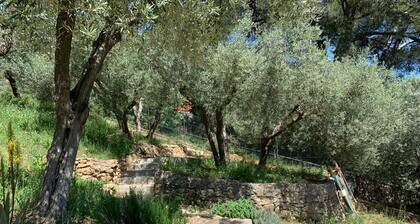 Calme et Colline Aubagne au pied du Garlaban