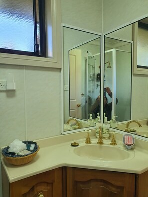 Bathtub, hair dryer, towels, soap