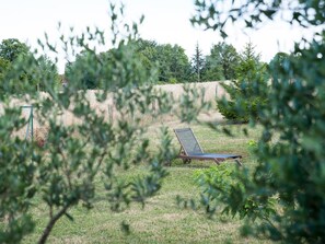 Property grounds - Modern house in Fossemagne, near Périgueux, comfort and activities (Fossemagne)