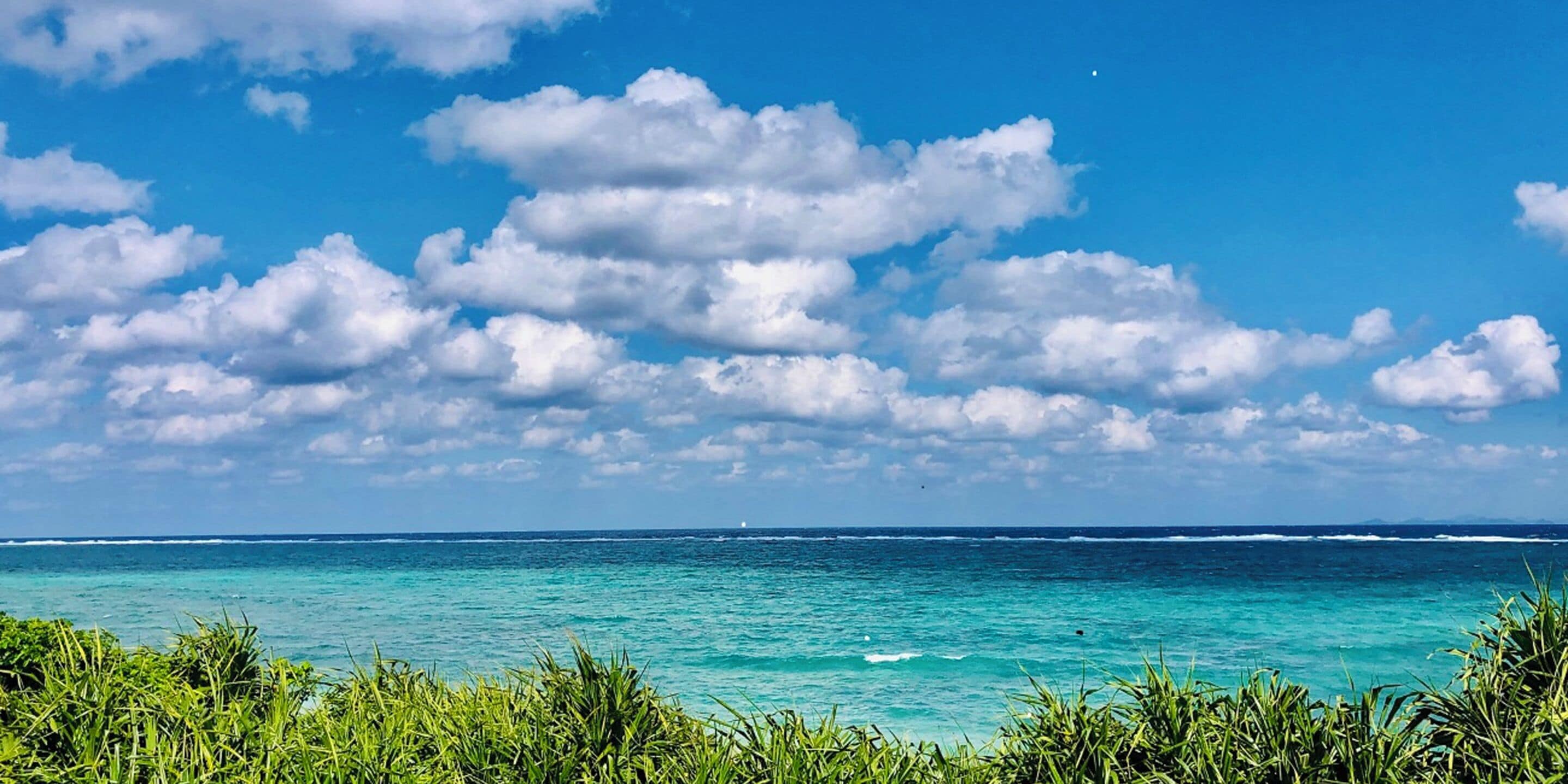 Phòng 2 giường đơn Tiêu chuẩn, quang cảnh biển, cạnh bãi biển (201 Anthurium) | Nệm có lớp đệm bông, khu vực làm việc phù hợp cho laptop 