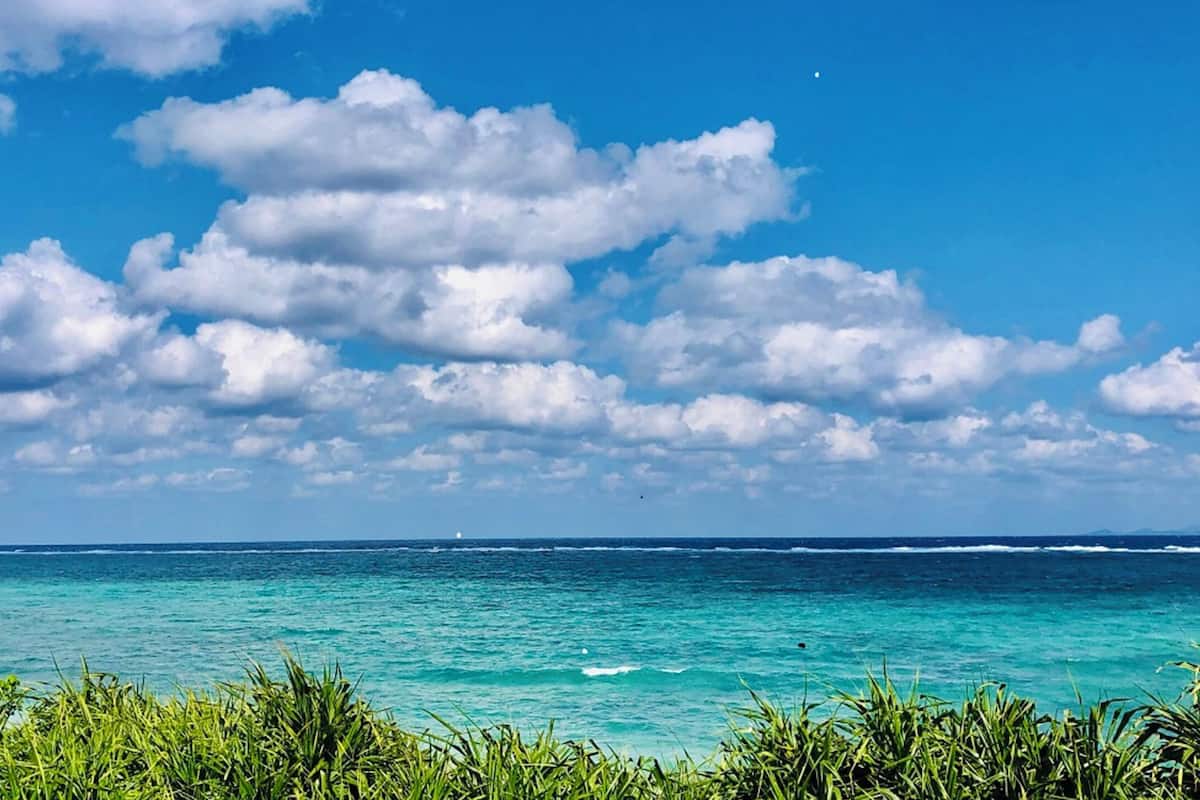 201 Anthurium | Pillowtop beds, laptop workspace, free WiFi, bed sheets