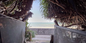 Ein Weg führt zu einem Strand mit Blick auf den Ozean, umgeben von Palmen und einer Betonmauer.
