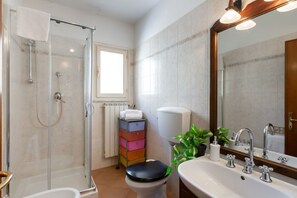 Shower, hair dryer, bidet, towels