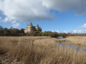 Un château doté de nombreuses tours et entouré de douves, avec de l’herbe sèche et des arbres tout autour.