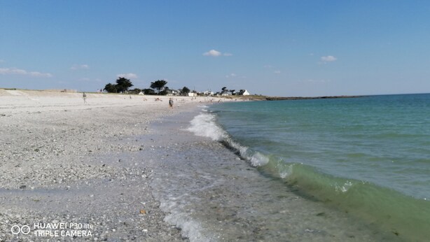 Una spiaggia con acque cristalline, ciottoli e alberi in lontananza.