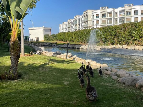 Enceinte de l’hébergement