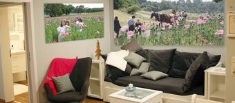 Newly renovated apartment "Mohnbrise"