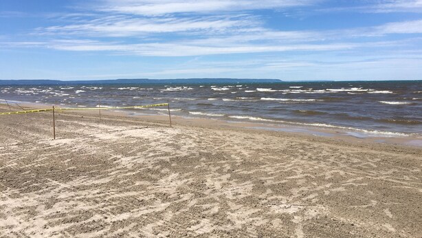 Beach nearby, beach towels