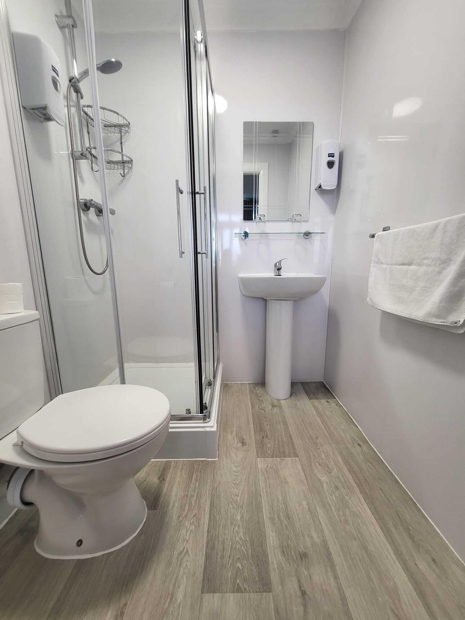A modern bathroom with a glass-enclosed shower, a white toilet, a pedestal sink, and a mirror above the sink.