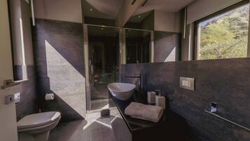 Shower, hair dryer, bidet, towels