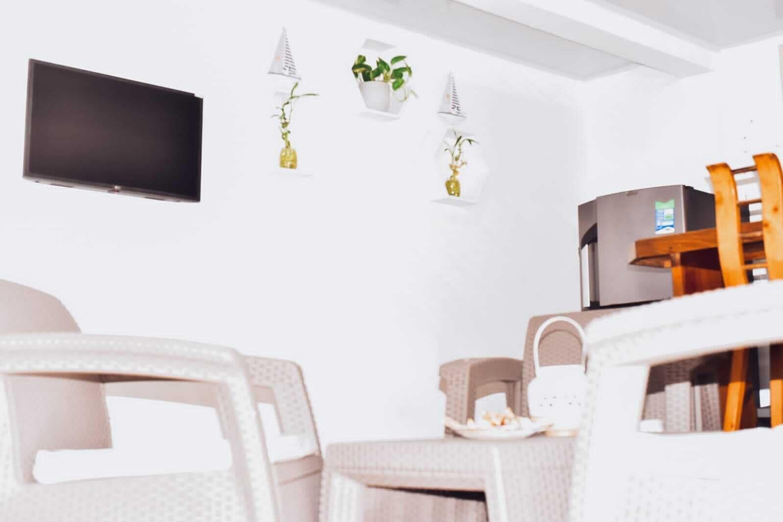 A modern living room with a flat-screen TV, white furniture, and decorative plants.
