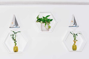 Three hexagonal planters with plants and decorative elements on a white wall. - Apartamentos Turisticos Altamar (San Andrés)