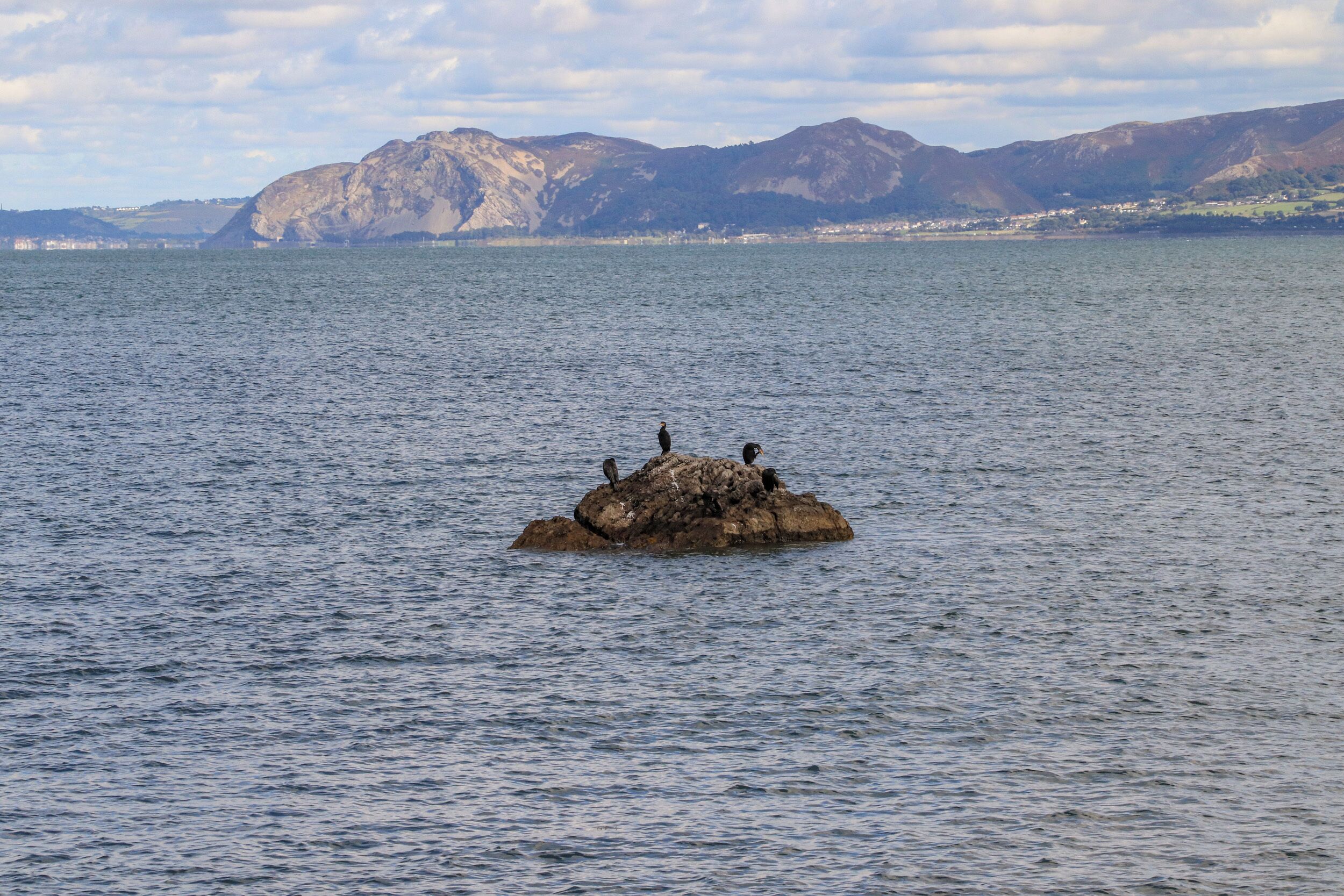 A rocky island with birds in a large body of water, surrounded by mountains.