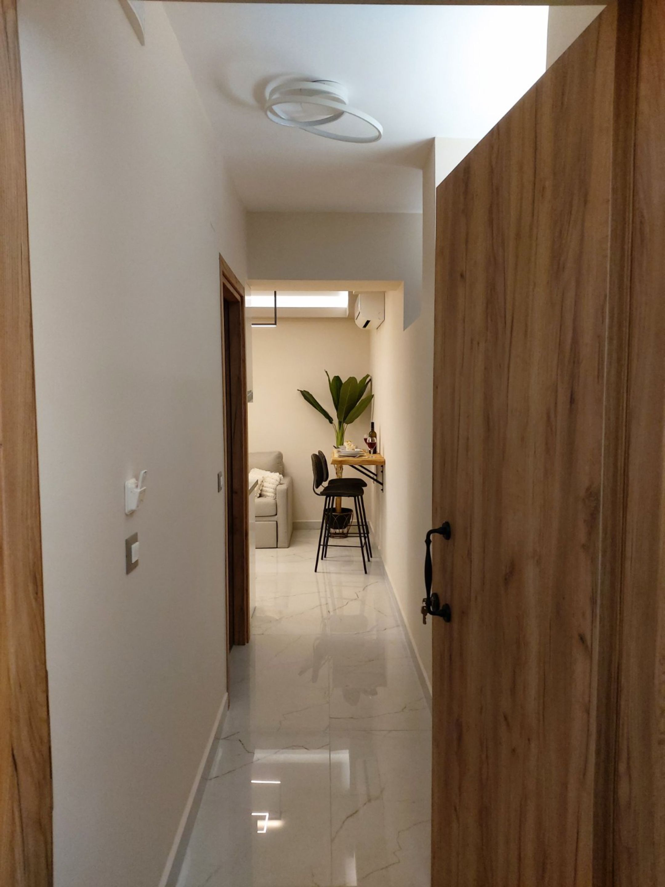 A hallway with a wooden door, a white wall, a ceiling light, a plant, a table with chairs, and a sofa.