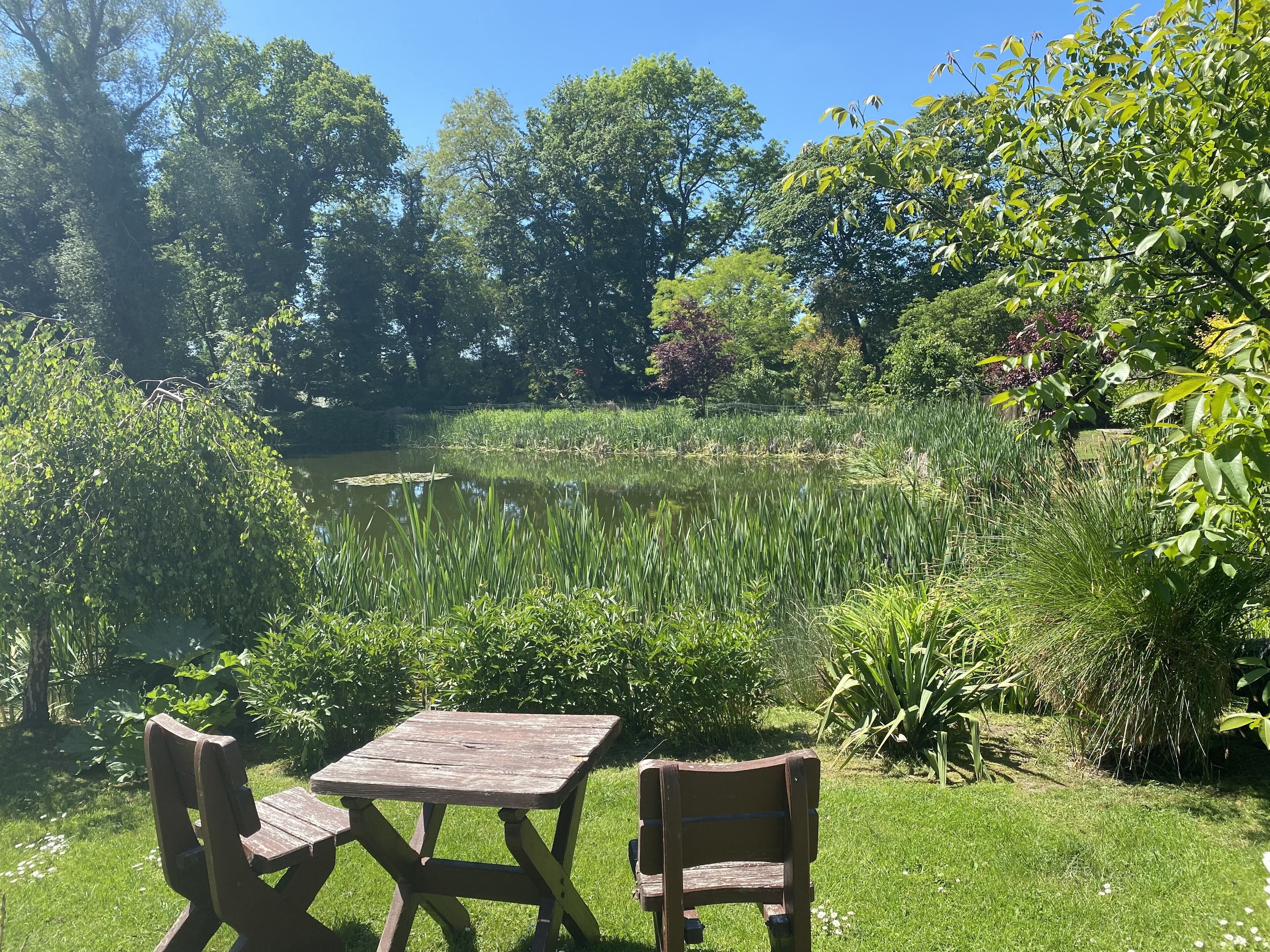 A serene outdoor setting with a wooden table and chairs, surrounded by lush greenery and a pond.