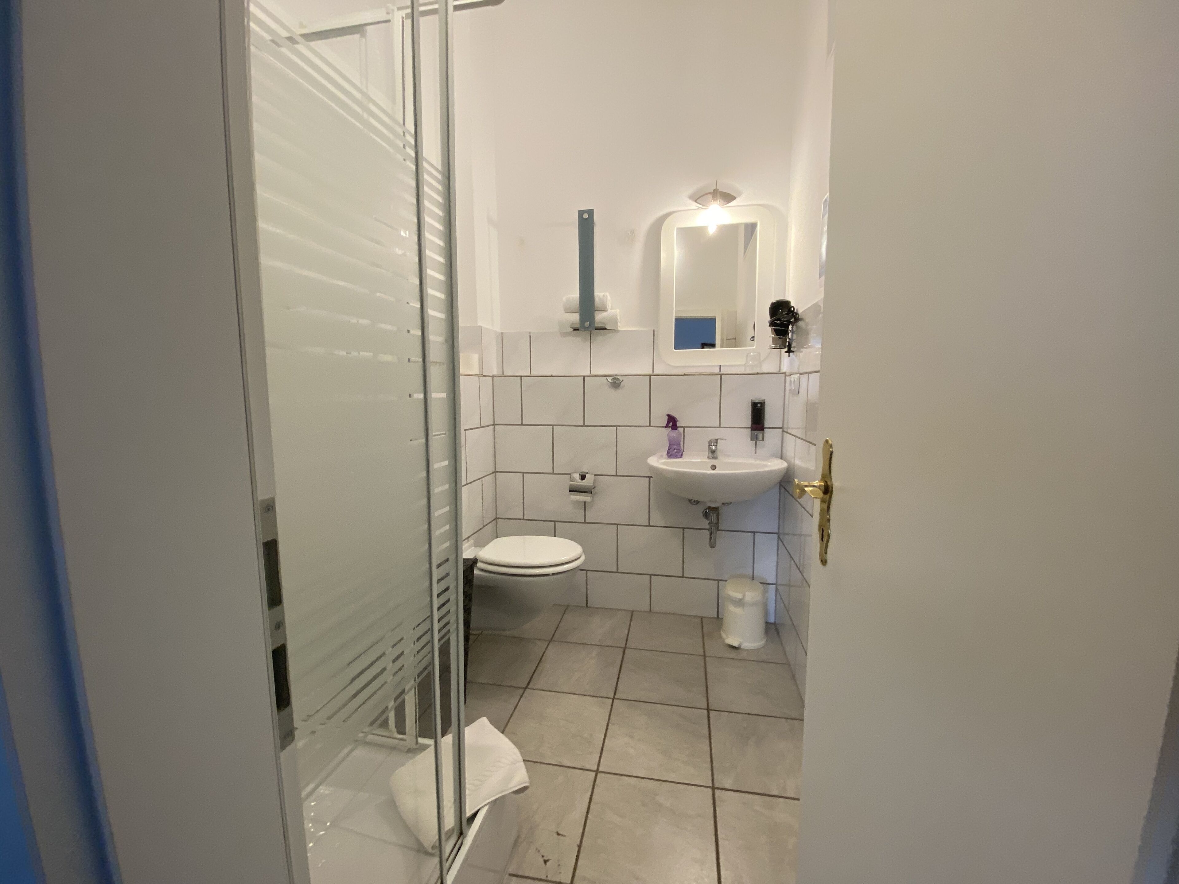 A bathroom with a glass shower enclosure, a white sink, and a toilet.