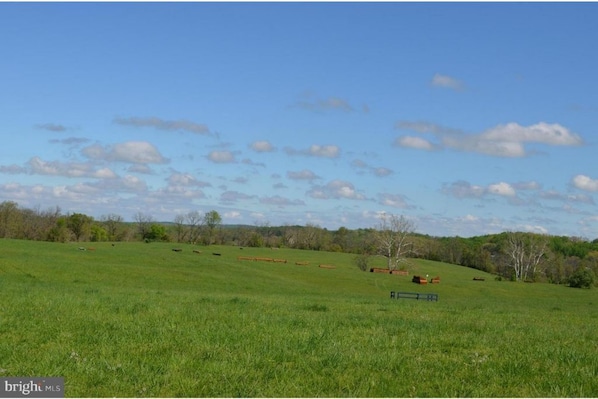 Miscellaneous - Barn Apartment in Heart of Philomont Hunt Country (Philomont)