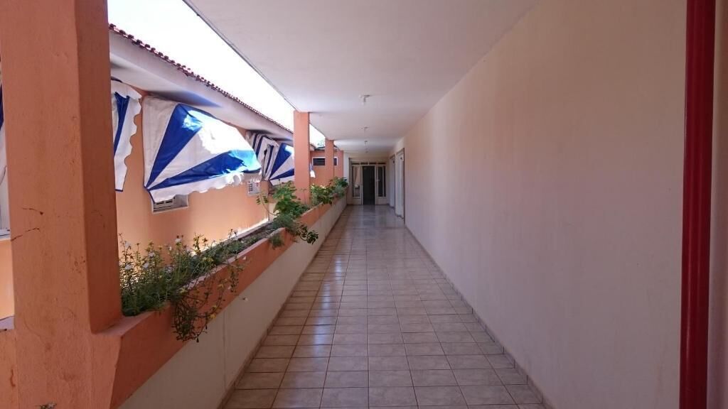 A corridor with tiled flooring, a low wall with plants, and a door at the end.