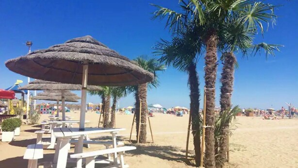 A beach with thatched umbrellas, palm trees, and beach chairs. - Villa in village with swimming pool 6 beds (Bibione)