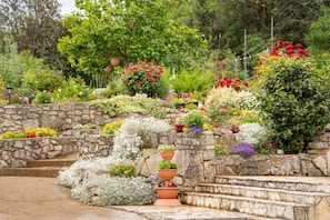 A garden with stone walls and terraced flower beds. - Villa Paradiso in Plomin - Istria / Villa Paradiso in Plomin - Apartment for 3 people (Plomin)