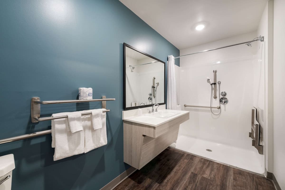 queen suite w/ dishwasher (dishes/cookware included) accessible roll-in shower | bathroom | combined shower/bathtub, towels