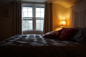 Deluxe Single Room | 1 bedroom, iron/ironing board, free WiFi