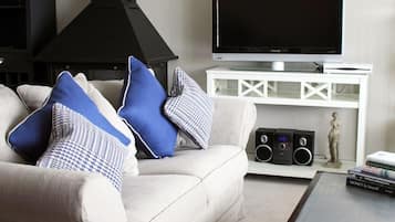 TV, caminetto, lettore DVD, libri