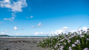 Ein Strand mit Sand und vereinzelter Vegetation, ein klarer Himmel und ferne Berge.