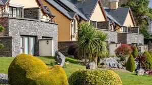 Una hilera de casas modernas con fachadas de piedra, grandes ventanales y un jardín bien cuidado con arbustos variados y una palmera.