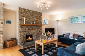 TV, fireplace
