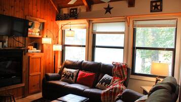 Televisión, chimenea, reproductor de DVD y libros